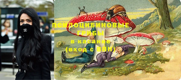jwh Каменка