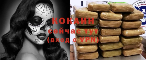 PSILOCYBIN Каменск-Шахтинский