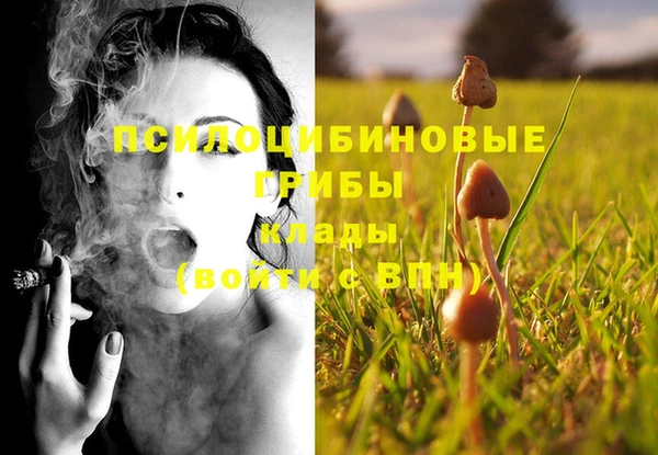 PSILOCYBIN Каменск-Шахтинский