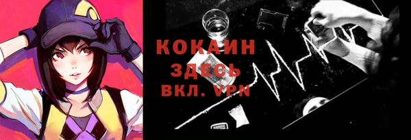 дмт Каменногорск