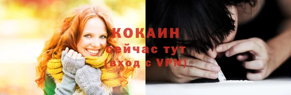дмт Каменногорск