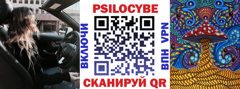 Псилоцибиновые грибы Psilocybine cubensis  Купить где  Северобайкальск 