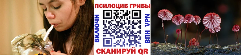 Галлюциногенные грибы мухоморы Северобайкальск